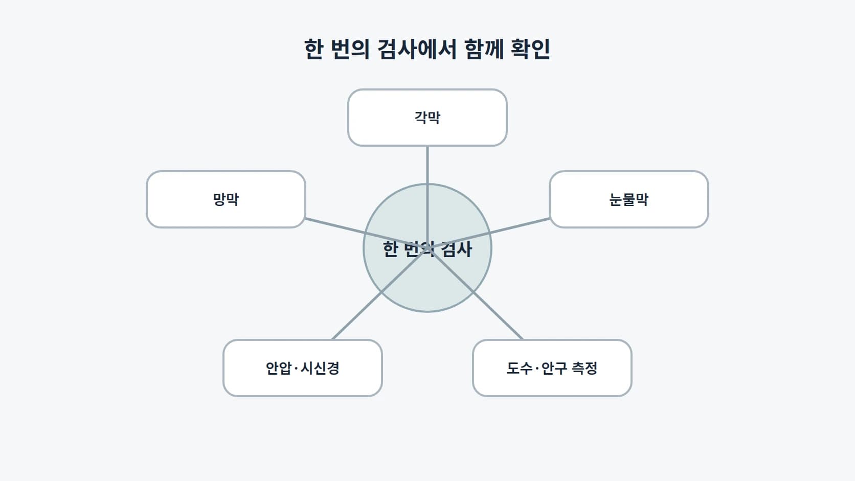한 번의 검사에서 각막·눈물막·도수와 안구 측정·안압과 시신경·망막 다섯 항목이 함께 확인됨을 중심에서 방사형으로 나타낸 도해