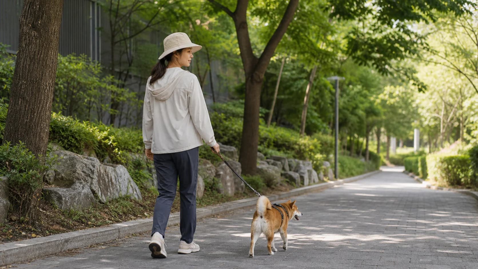 한국 성인이 반려견과 그늘진 안전한 공원 보행로를 걷는 장면