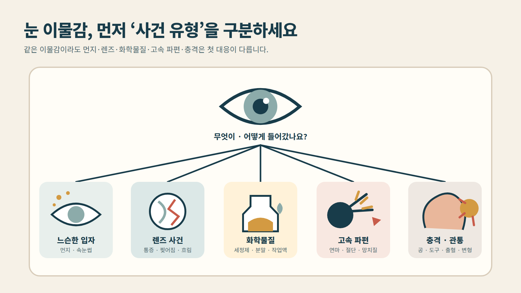 눈 이물감을 다섯 사건 유형으로 구분하는 안전 분기 도해