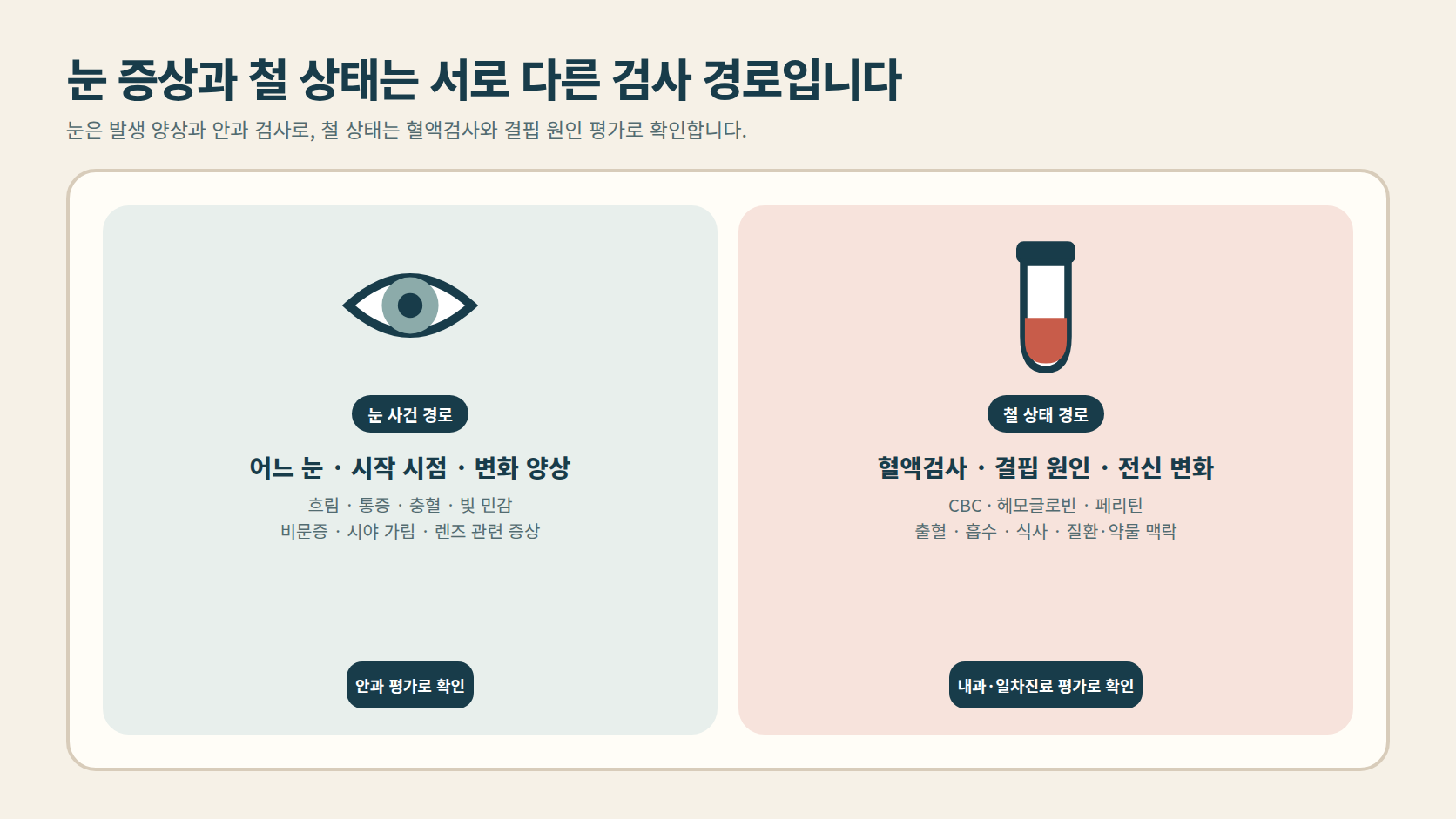 눈 증상과 철 상태를 서로 다른 검사 경로로 나눈 도해