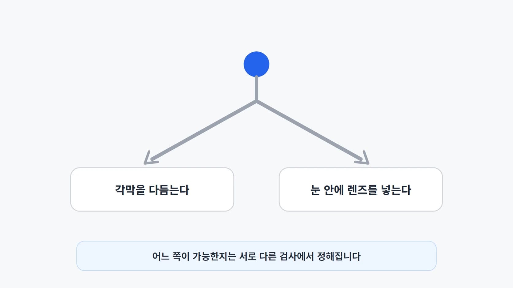 출발점 하나에서 각막을 다듬는 길과 눈 안에 렌즈를 넣는 길로 갈리는 두 갈래를 같은 굵기로 그린 경로 분기도