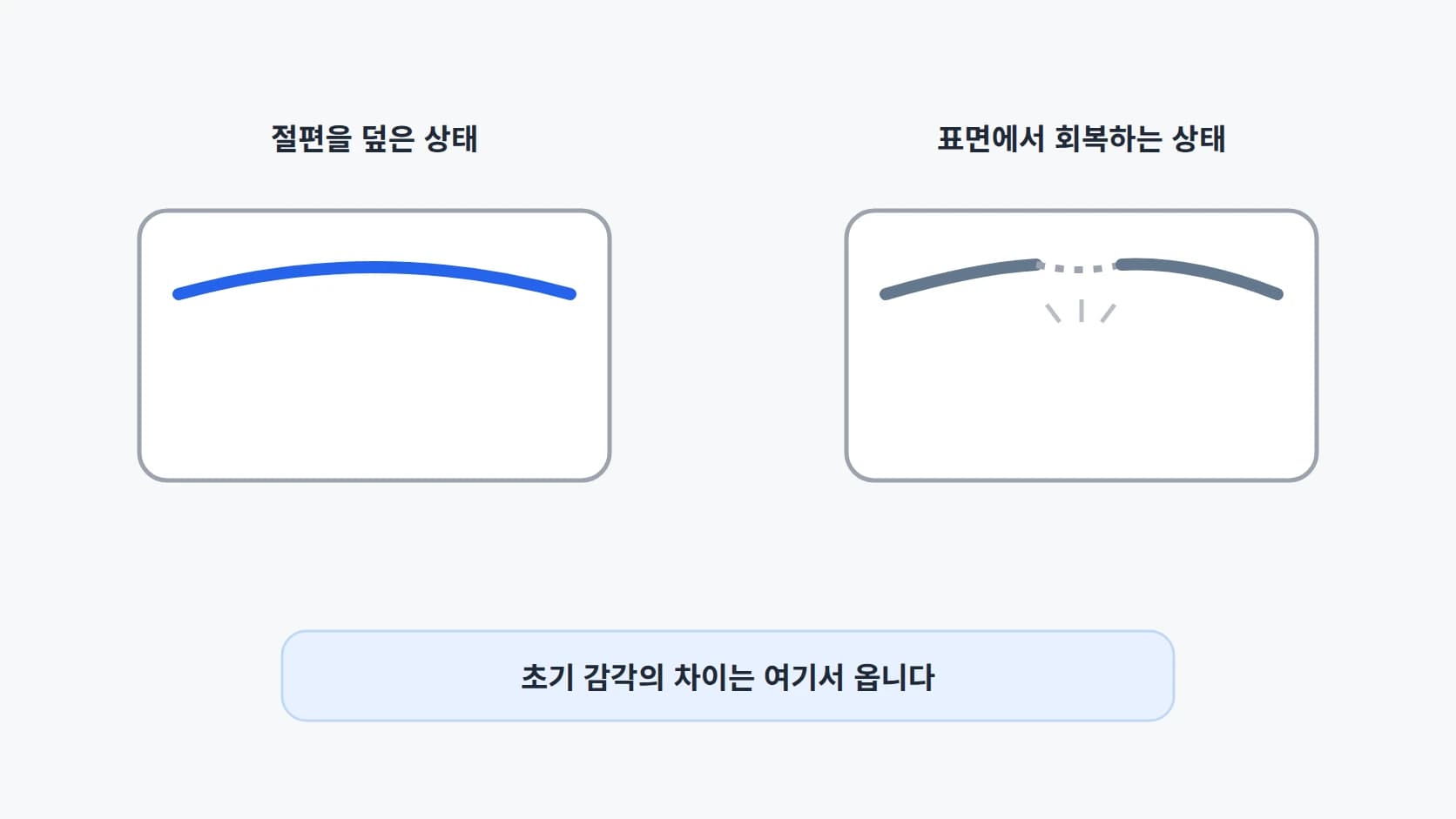 절편을 덮어 표면이 이어진 상태와 표면에서 회복하는 상태를 좌우로 놓고 비교한 도해