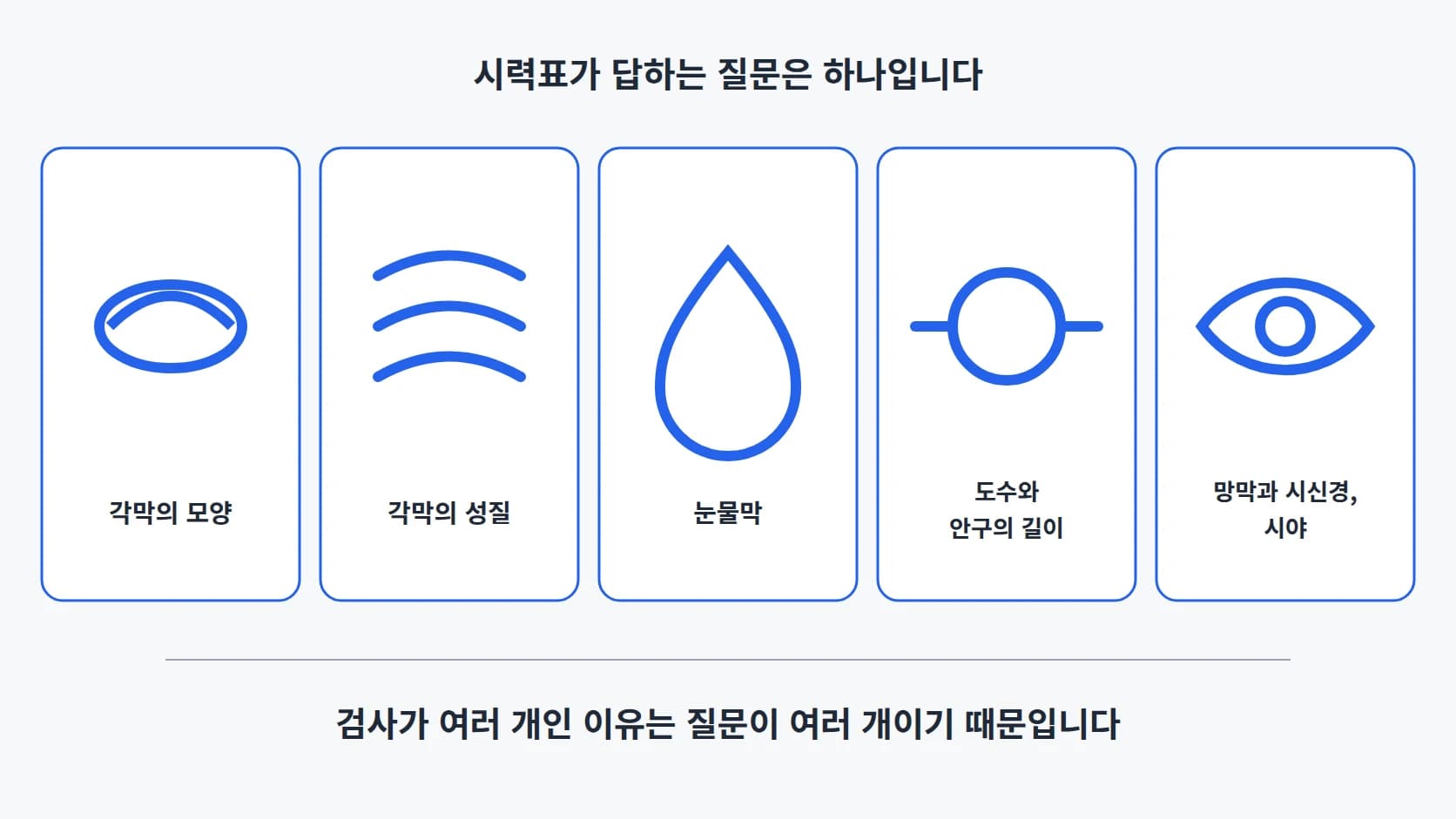 각막 지도·각막 강도·눈물막·도수와 안구 길이·눈 안쪽 다섯 검사가 각각 확인하는 대상을 나열한 5구역 도해