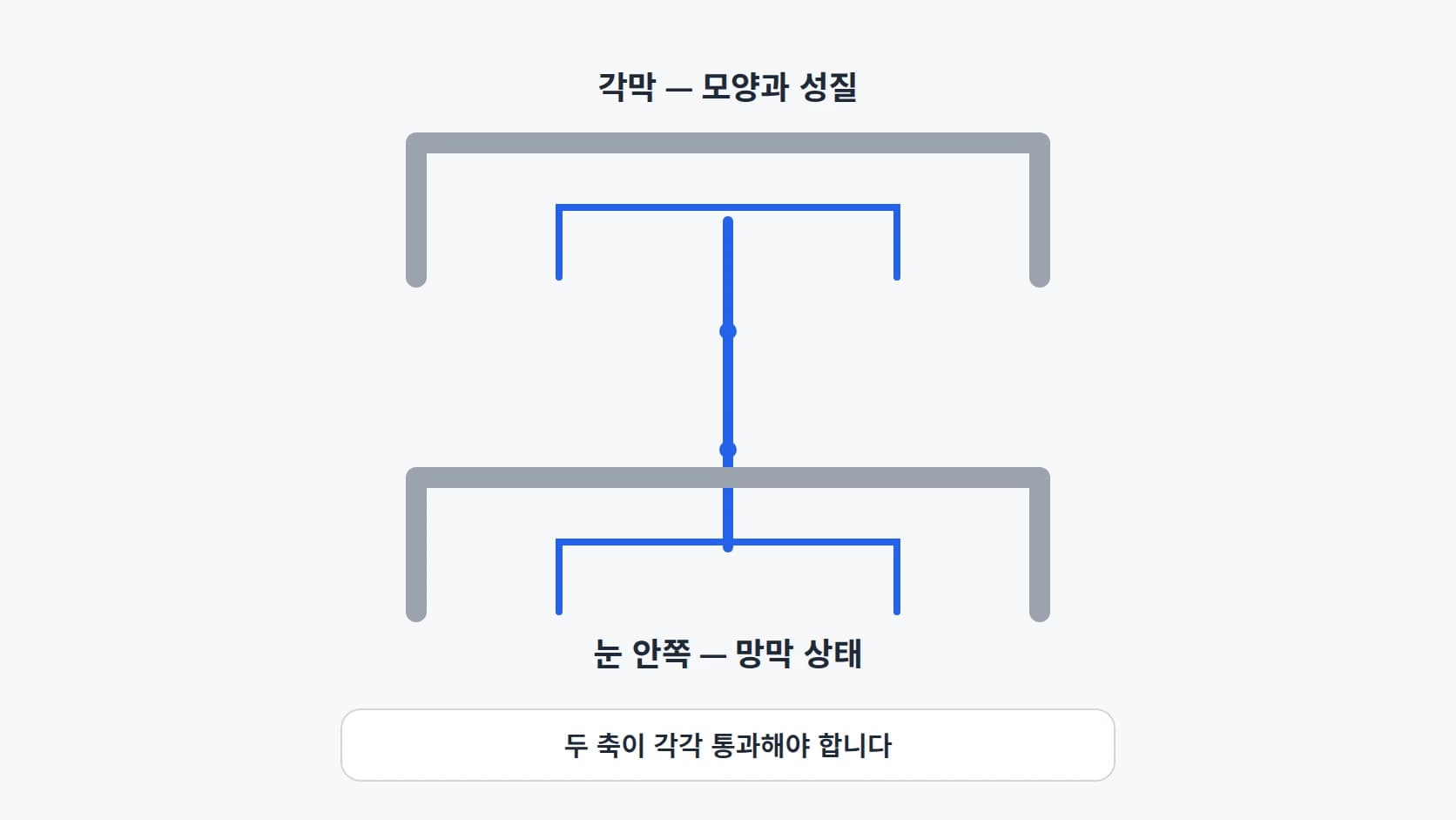 각막의 모양과 성질, 눈 안쪽 망막 상태라는 두 관문을 각각 통과해야 함을 보여 주는 도해