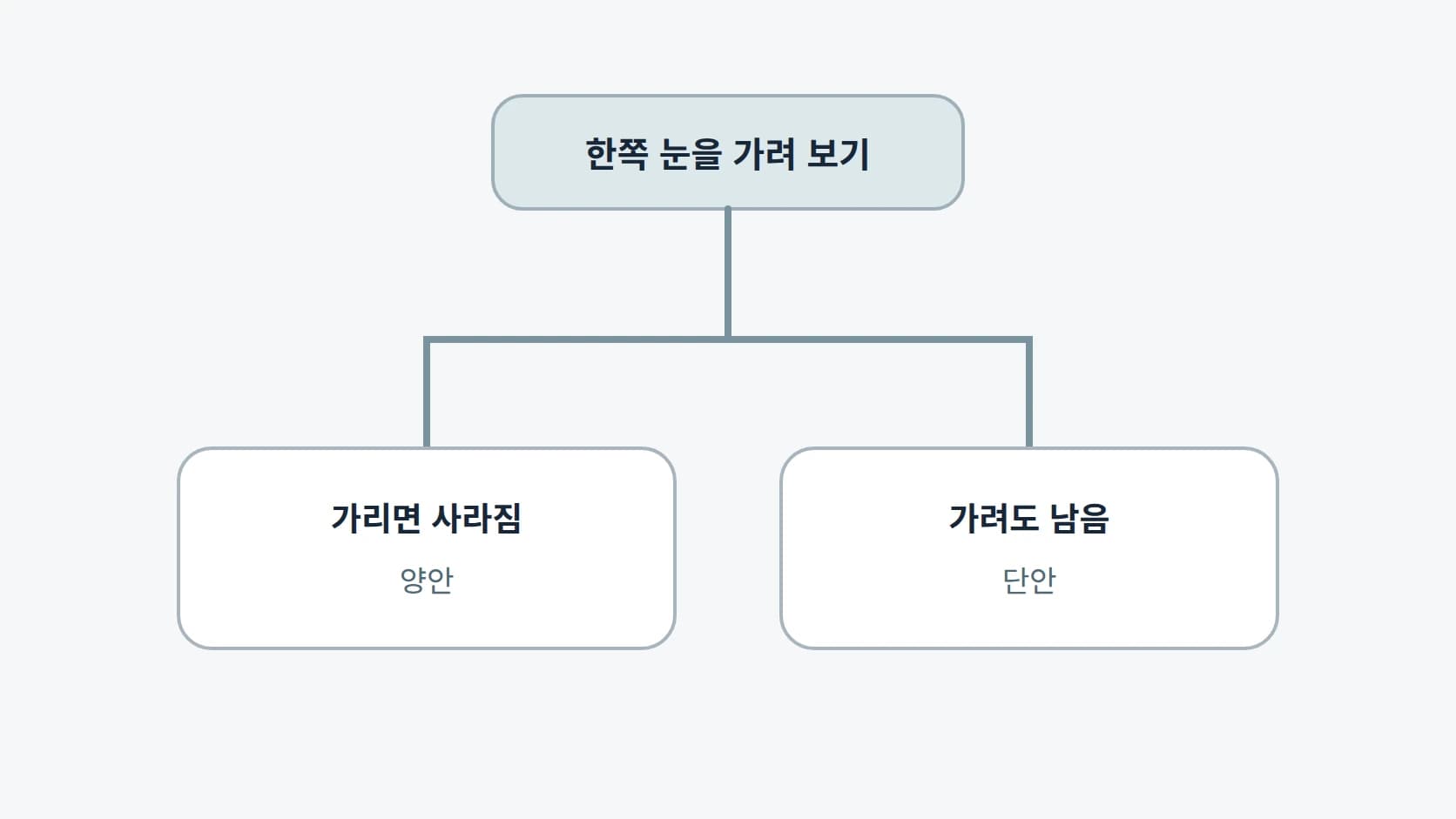 한쪽 눈을 가렸을 때 겹침이 사라지면 양안, 남으면 단안으로 갈리는 2분기 도해