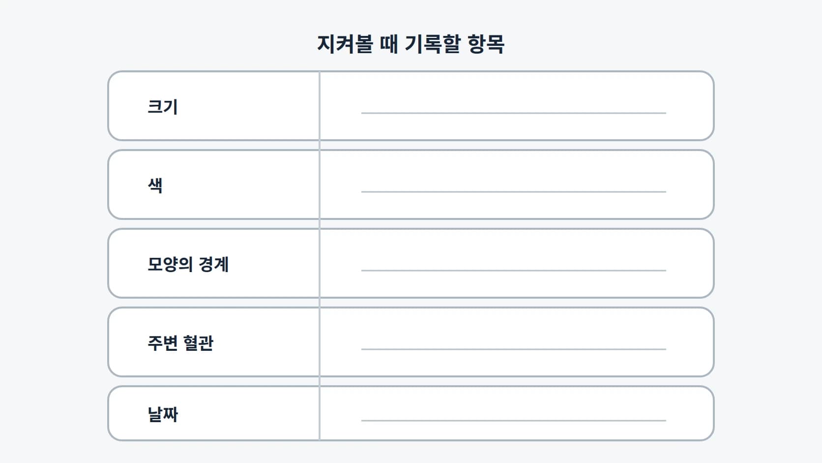 크기·색·모양의 경계·주변 혈관·날짜 다섯 항목을 기록칸과 함께 세로로 정리한 관찰 기록 도해
