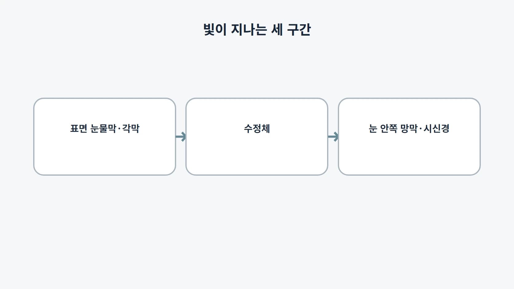 빛이 지나는 순서대로 눈 표면, 수정체, 눈 안쪽 세 구간을 왼쪽에서 오른쪽으로 나눈 띠 도해