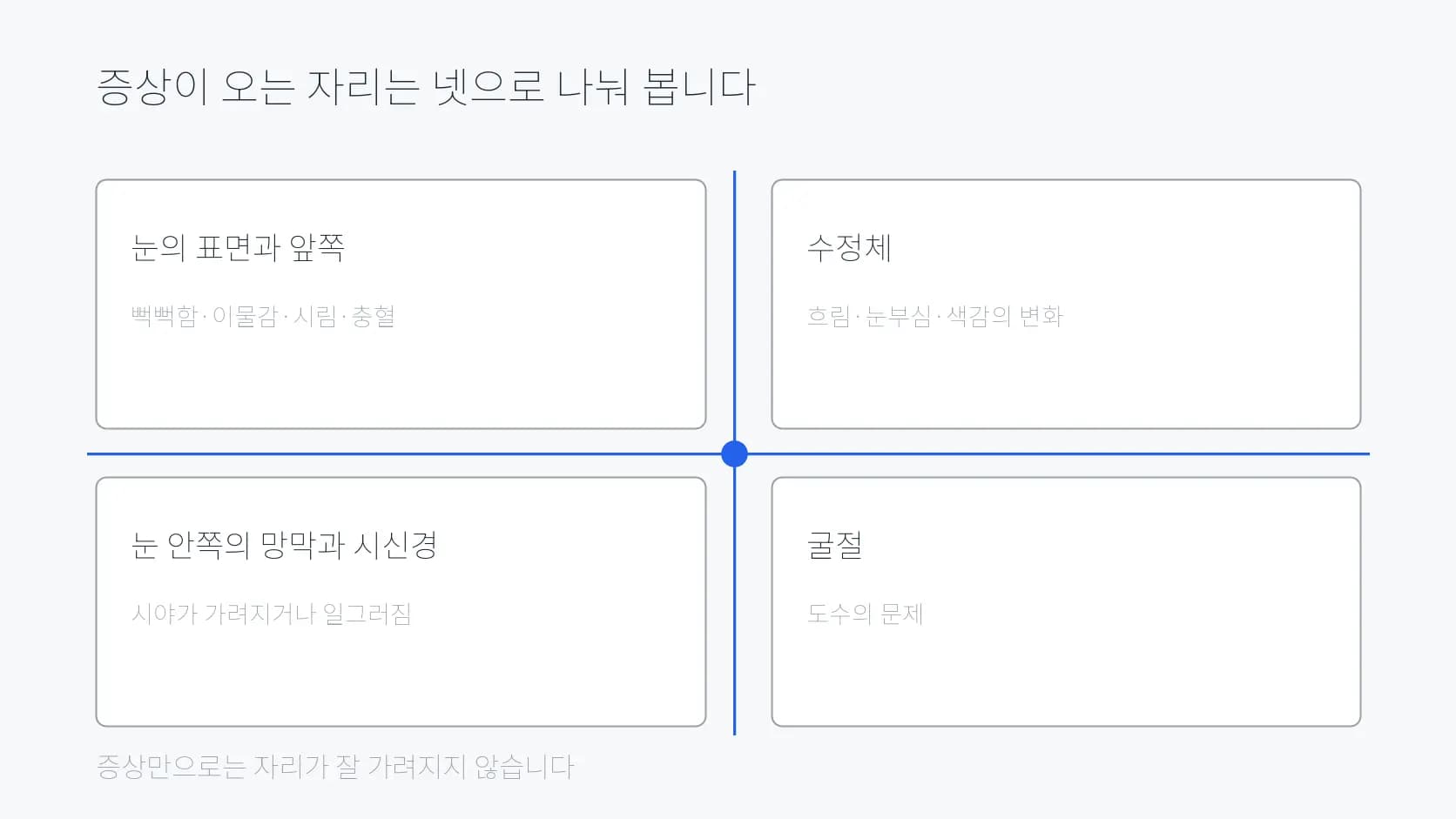 증상이 오는 자리를 눈의 표면·수정체·눈 안쪽·굴절 네 칸으로 나눈 도식