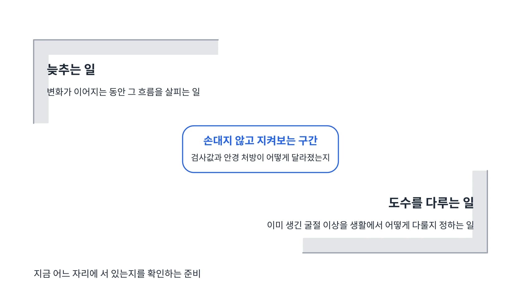늦추는 일과 도수를 다루는 일을 엇갈린 두 영역으로 두고 그 사이에 지켜보는 구간을 따로 세운 도식
