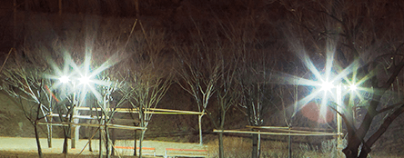 백내장 증상 예시 — 눈부심