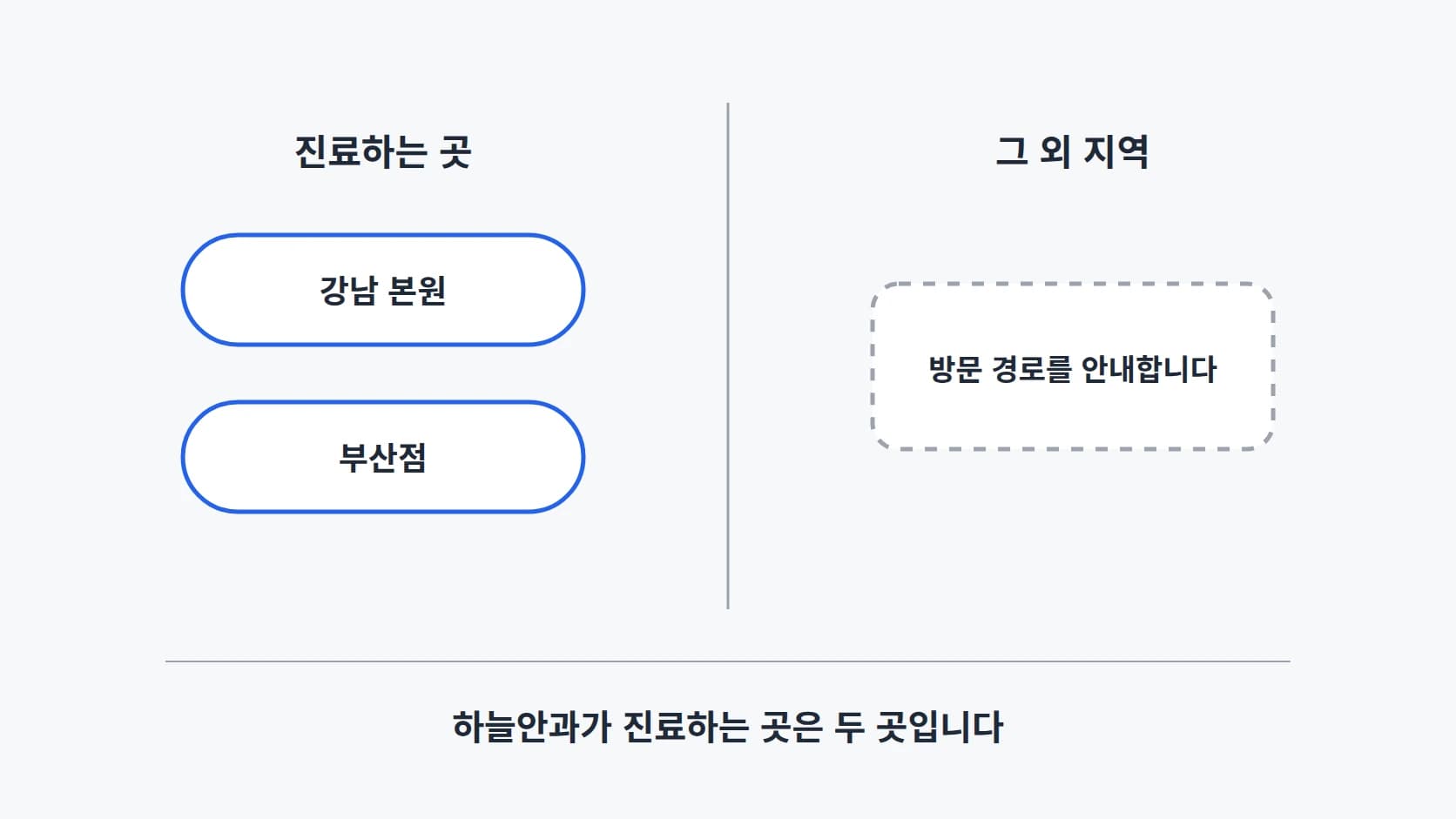 하늘안과가 진료하는 곳이 강남 본원과 부산점 두 곳임을 좌우로 나누어 보여 주는 도해