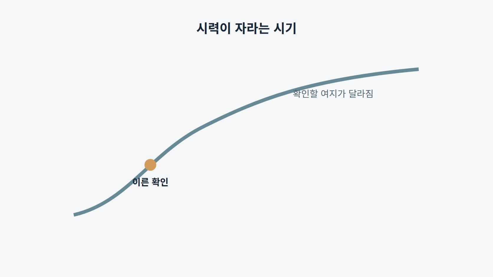 시력이 완성되어 가는 과정을 오르는 곡선으로 그리고 확인 시점이 이를수록 여지가 넓음을 구간 라벨로 표시한 도해