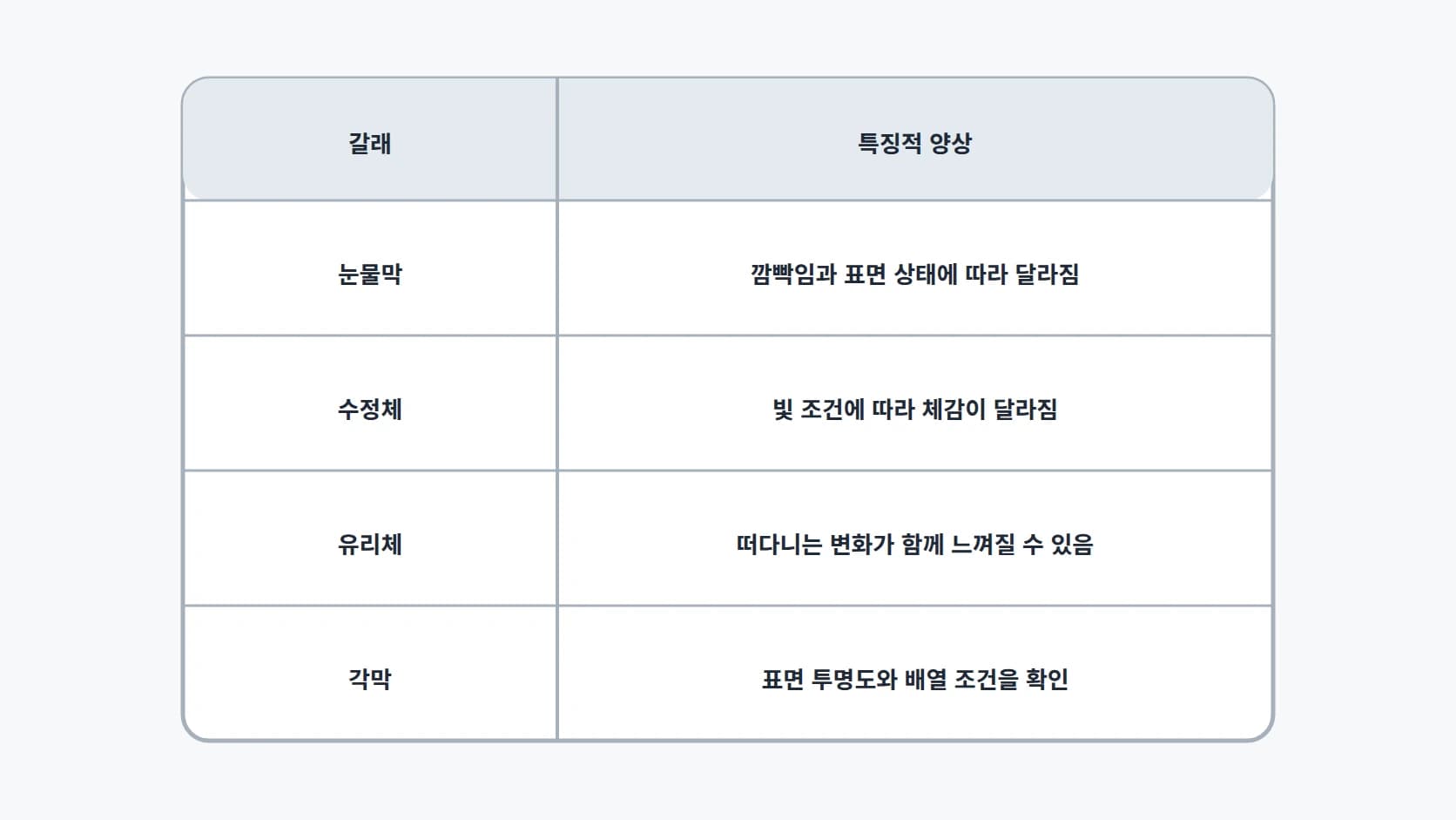 눈물막·수정체·유리체·각막 네 갈래의 특징적 양상을 정리한 4행 표