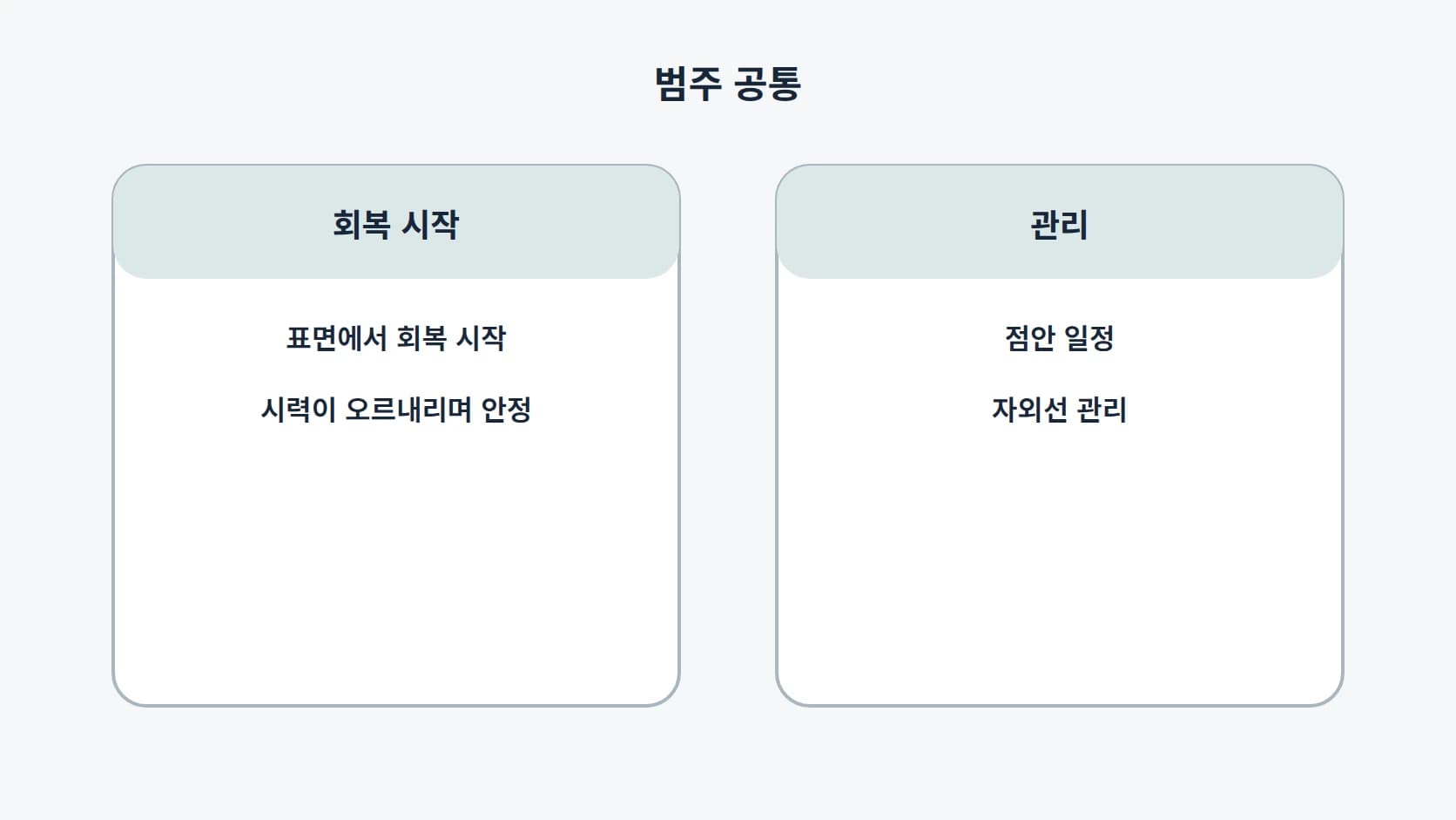 세부 방법이 달라도 범주에 공통인 회복 시작 위치, 시력 안정 과정, 점안 일정, 자외선 관리 네 항목을 정리한 도해