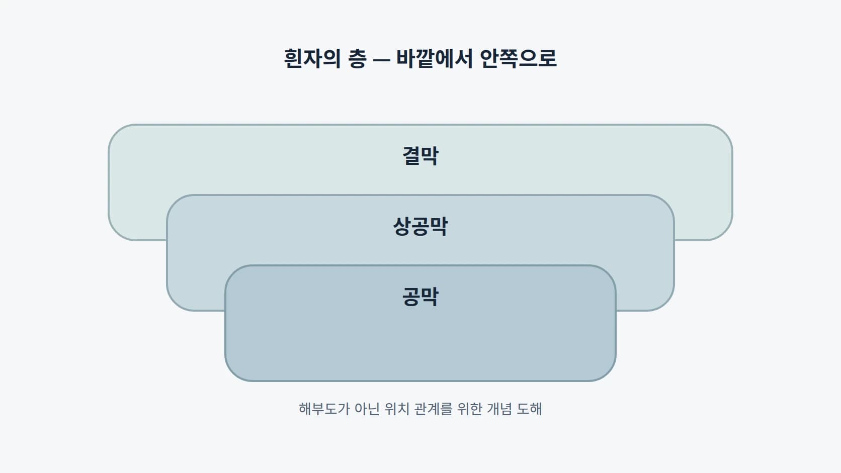 흰자의 층을 바깥에서 안쪽으로 결막·상공막·공막 세 띠로 나타낸 개념 도해