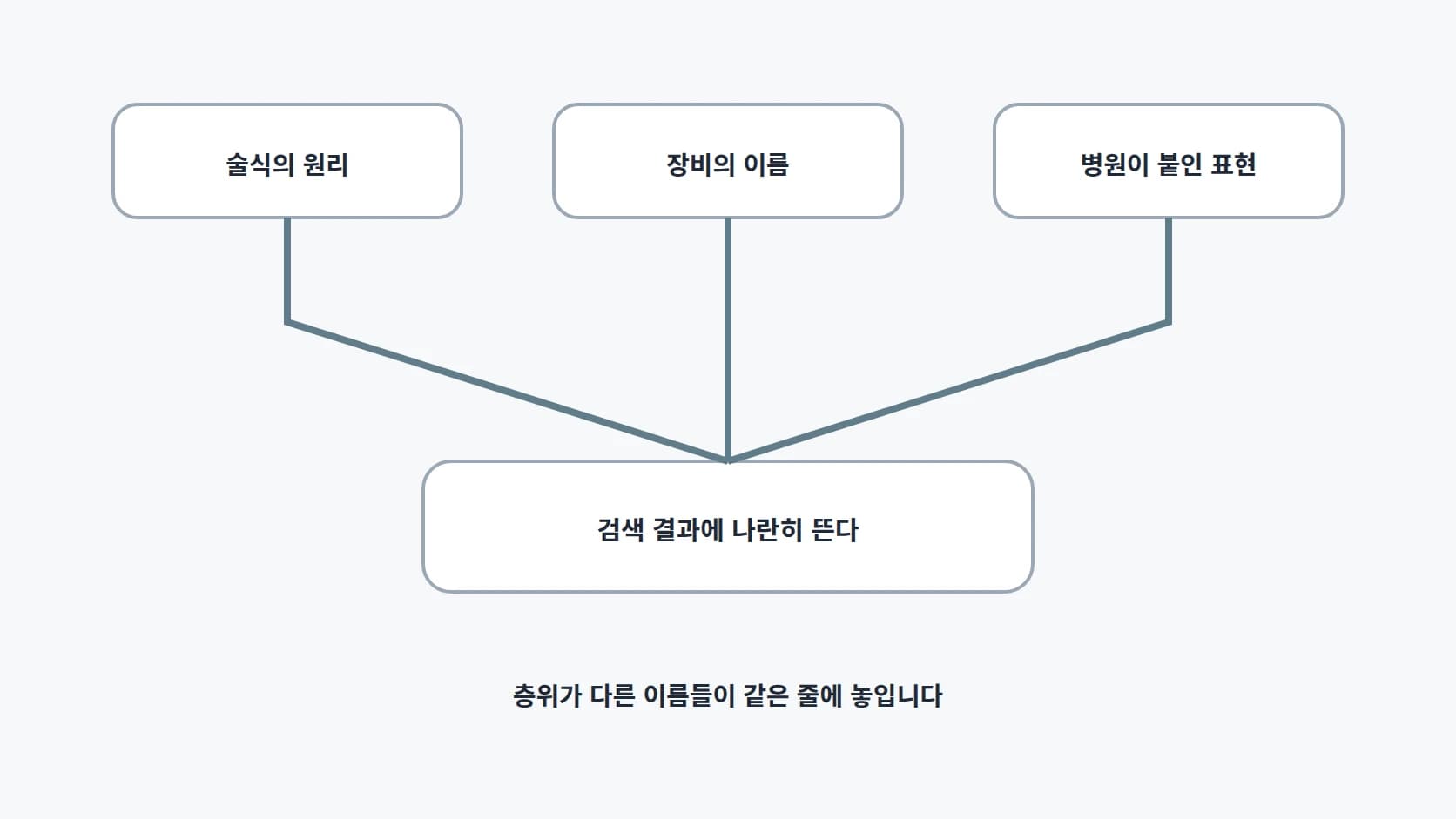 술식의 원리·장비의 이름·병원이 붙인 표현이라는 세 계층으로 시술 명칭의 출처를 나눈 도해