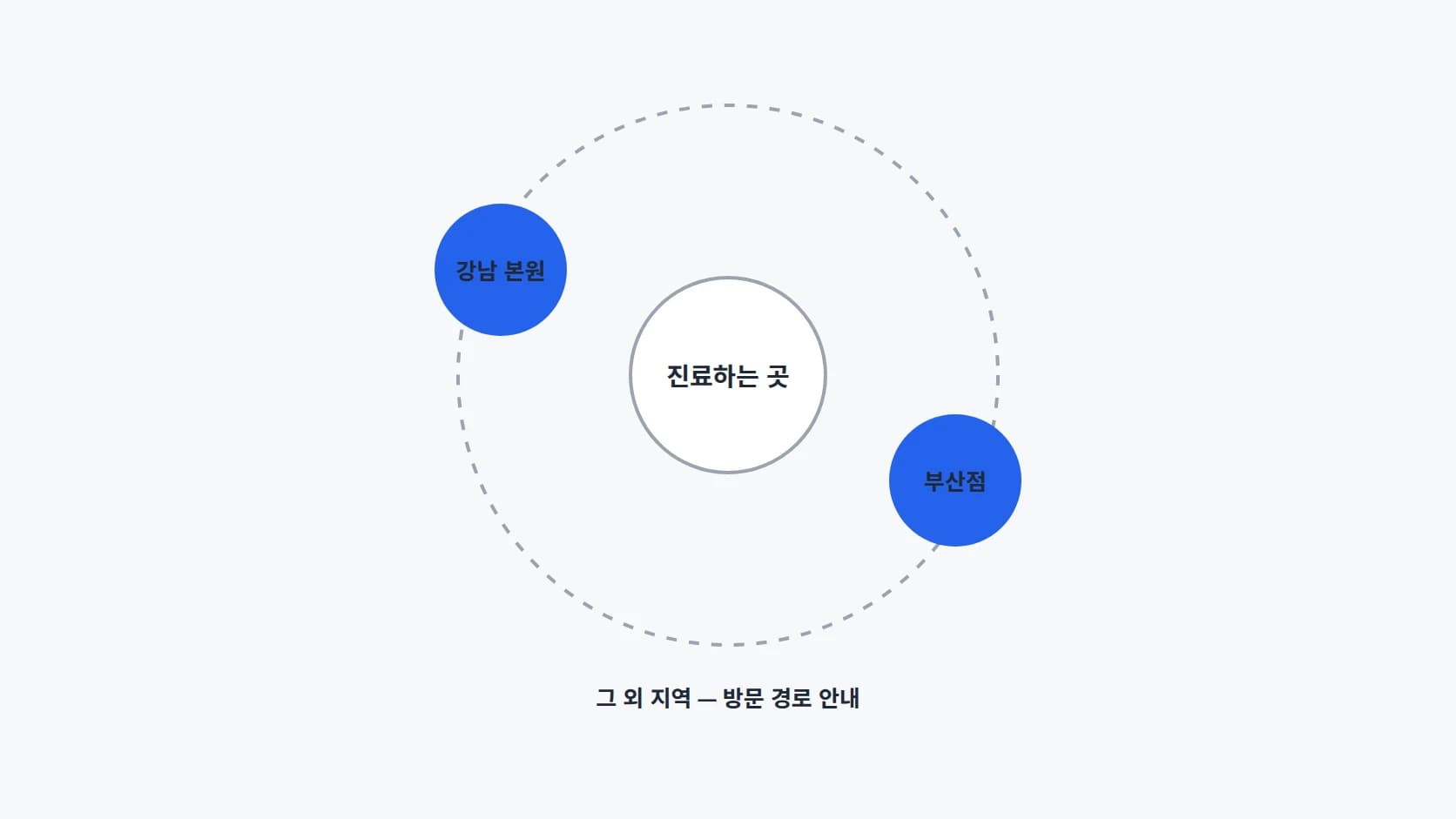 진료하는 곳을 가운데 두고 강남 본원과 부산점 두 지점을 같은 크기로 배치한 원형 도해
